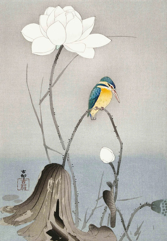 Classic Japanese Animal Flower Bird and Plant Posters Prints Canvas Wall Art Pictures Home Living Room Decorative painting set